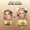 image:imageLOreal Paris Superior Preference Luminous FadeDefying Permanent Hair Color Hair Dye For Up to 9 Weeks of Radiance 6AM Light Amber Brown 1 Kit Pack of 28A Ash Blonde