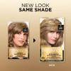 image:imageLOreal Paris Superior Preference Luminous FadeDefying Permanent Hair Color Hair Dye For Up to 9 Weeks of Radiance 6AM Light Amber Brown 1 Kit Pack of 207 Dark Blonde