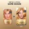 image:imageLOreal Paris Superior Preference Luminous FadeDefying Permanent Hair Color Hair Dye For Up to 9 Weeks of Radiance 6AM Light Amber Brown 1 Kit Pack of 29GR Golden Reddish Blonde
