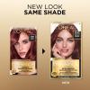 image:imageLOreal Paris Superior Preference Luminous FadeDefying Permanent Hair Color Hair Dye For Up to 9 Weeks of Radiance 6AM Light Amber Brown 1 Kit Pack of 25MB Medium Auburn