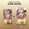 image:imageLOreal Paris Superior Preference Luminous FadeDefying Permanent Hair Color Hair Dye For Up to 9 Weeks of Radiance 6AM Light Amber Brown 1 Kit Pack of 28S Soft Silver Blonde