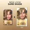 image:imageLOreal Paris Superior Preference Luminous FadeDefying Permanent Hair Color Hair Dye For Up to 9 Weeks of Radiance 6AM Light Amber Brown 1 Kit Pack of 27A Dark Ash Blonde