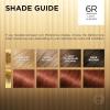 image:imageLOreal Paris Superior Preference Luminous FadeDefying Permanent Hair Color Hair Dye For Up to 9 Weeks of Radiance 6AM Light Amber Brown 1 Kit Pack of 26R Light Auburn