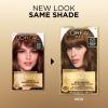 image:imageLOreal Paris Superior Preference Luminous FadeDefying Permanent Hair Color Hair Dye For Up to 9 Weeks of Radiance 6AM Light Amber Brown 1 Kit Pack of 25CB Medium Chestnut Brown