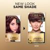 image:imageLOreal Paris Superior Preference Luminous FadeDefying Permanent Hair Color Hair Dye For Up to 9 Weeks of Radiance 6AM Light Amber Brown 1 Kit Pack of 24M Dark Mahogany Brown