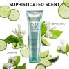 image:imageLOreal Paris Thickening Sulfate Free Shampoo Thickens  Strengthens Thin Fragile Hair Hair Care with Rosemary Leaf EverPure 85 Fl Oz Packaging May VaryShampoo  pack of 1