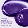 image:imageLOreal Paris Sulfate Free Brass Toning Purple Conditioner for Blonde Bleached Silver or Brown Highlighted Hair EverPure 68 Fl Oz Packaging May Vary68 Fl Oz Pack of 1