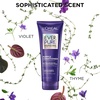image:imageLOreal Paris Sulfate Free Brass Toning Purple Conditioner for Blonde Bleached Silver or Brown Highlighted Hair EverPure 68 Fl Oz Packaging May Vary68 Fl Oz Pack of 2