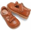imageDADAWEN Girls TStrap School Uniform Dress Shoe Mary Jane Princess Flat02 Brown