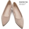 image:imageDADAWEN Womens Pumps Closed Pointed Toe Low Chunky Block Heels Comfortable Heels Dress Shoes Pumps for Women Office Work Wedding PartyNude