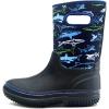 Blue Shark