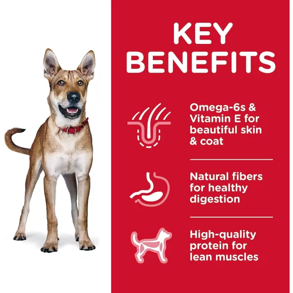 imageHills Pet Nutrition Science Diet Dry Dog Food Adult Chicken amp Barley Recipe 35 lb BagChicken amp Barley 5 Pound Pack of 1