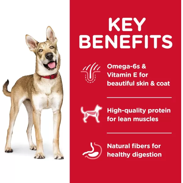 imageHills Pet Nutrition Science Diet Dry Dog Food Adult Lamb Meal amp Brown Rice Recipe 33 lb BagLamb Meal amp Brown Rice 155 Pound Pack of 1