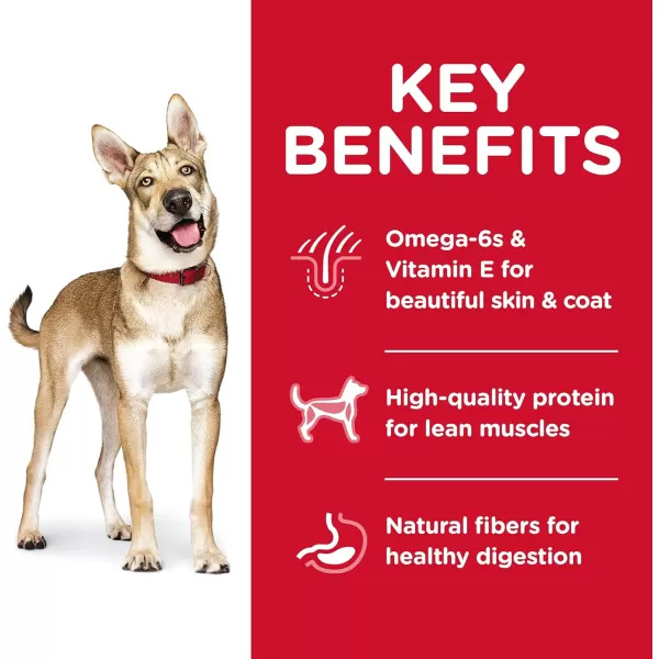 imageHills Pet Nutrition Science Diet Dry Dog Food Adult Lamb Meal amp Brown Rice Recipe 33 lb BagLamb Meal amp Brown Rice 33 Pound Pack of 1