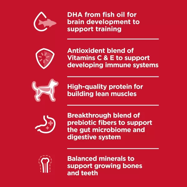 imageHills Pet Nutrition Science Diet Kitten Ocean Fish amp Brown Rice Recipe Dry Cat Food 35 lb BagHills Pet Nutrition Science Diet Kitten Ocean Fish amp Brown Rice Recipe Dry Cat Food 35 lb Bag