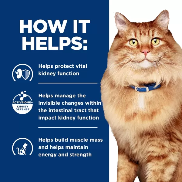 imageHills Prescription Diet kd  jd Kidney  Mobility Chicken Flavor Dry Cat Food Veterinary Diet 64 lb Bag635 Pound Pack of 1