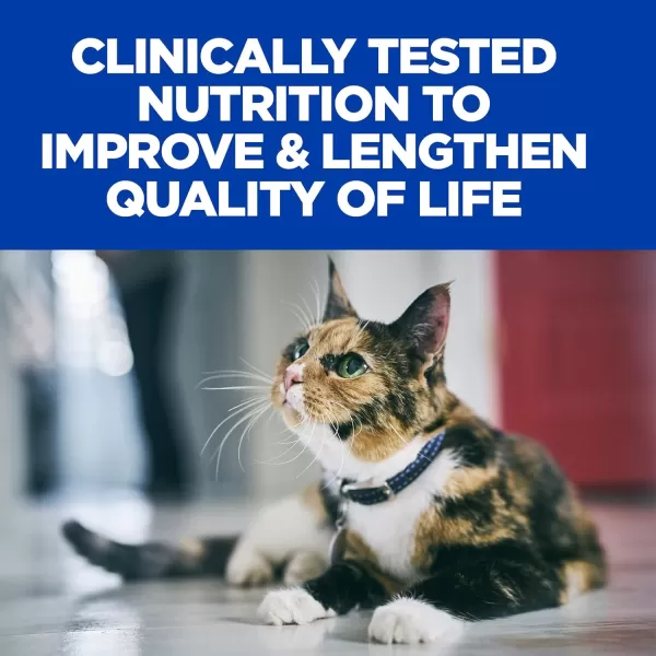 imageHills Prescription Diet kd Early Support Kidney Care Chicken Vegetable amp Rice Stew Canned Cat Food Veterinary Diet 29 oz 24Pack Wet Food85 Pound Pack of 1