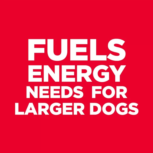 imageHills Science Diet Adult 6 No Corn Wheat or Soy Large Breed Dry Dog Food Chicken Recipe 30 lb BagHills Science Diet Adult 6 No Corn Wheat or Soy Large Breed Dry Dog Food Chicken Recipe 30 lb Bag