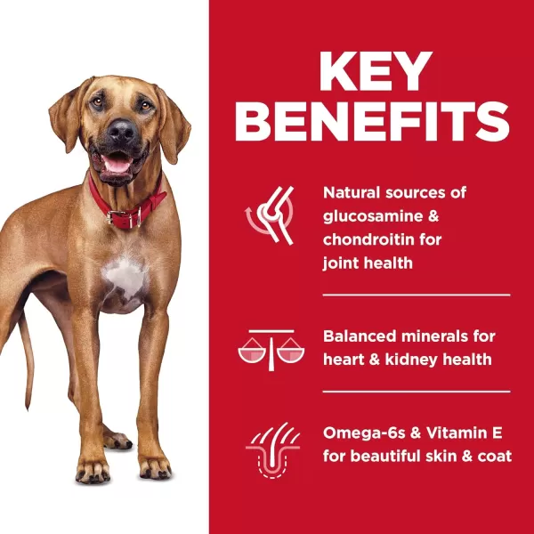 imageHills Science Diet Adult 6 No Corn Wheat or Soy Large Breed Dry Dog Food Chicken Recipe 30 lb BagHills Science Diet Adult 6 No Corn Wheat or Soy Large Breed Dry Dog Food Chicken Recipe 30 lb Bag