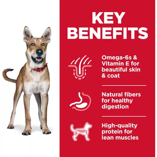 imageHills Science Diet Adult Chicken amp Barley Dry Dog Food 45 lb BagChicken amp Barley 45 Pound pack of 1