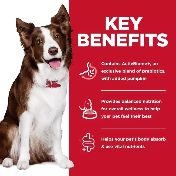 imageHills Science Diet Adult Dog Wet Food Perfect Digestion Chicken Vegetable amp Rice Stew 128 oz Cans 12PackHills Science Diet Adult Dog Wet Food Perfect Digestion Chicken Vegetable amp Rice Stew 128 oz Cans 12Pack