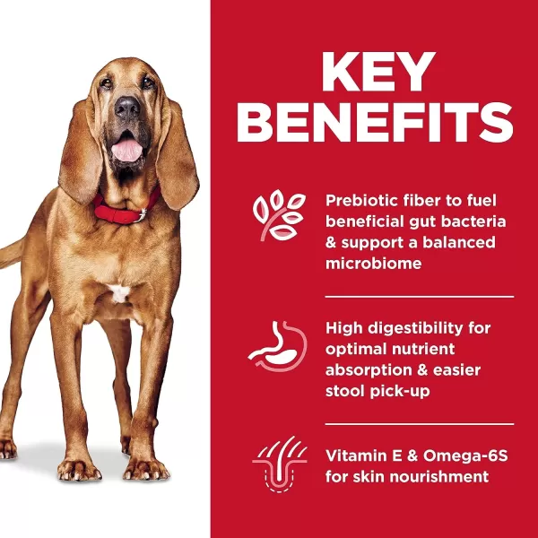 imageHills Science Diet Adult Sensitive Stomach And Skin Large Breed Dry Dog Food Chicken Recipe 30 lb BagHills Science Diet Adult Sensitive Stomach And Skin Large Breed Dry Dog Food Chicken Recipe 30 lb Bag