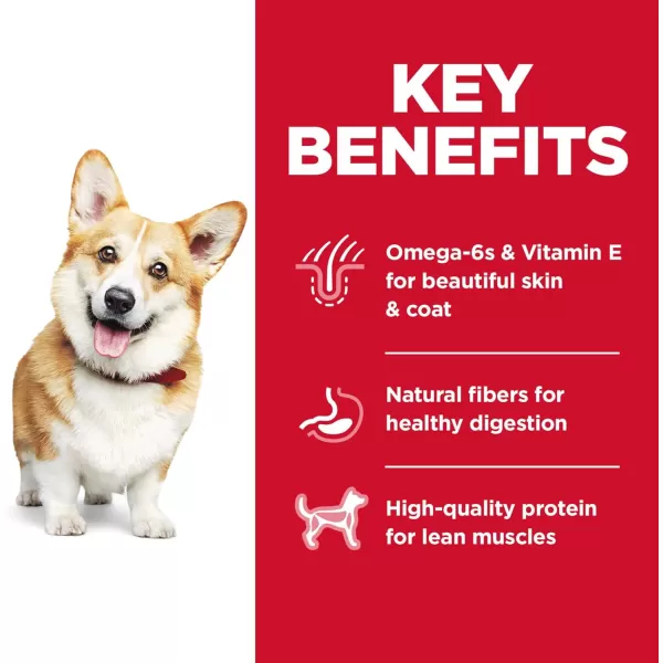 imageHills Science Diet Adult Small Bites Chicken amp Barley Dry Dog Food 45 lb Bag4500 Pound Pack of 1
