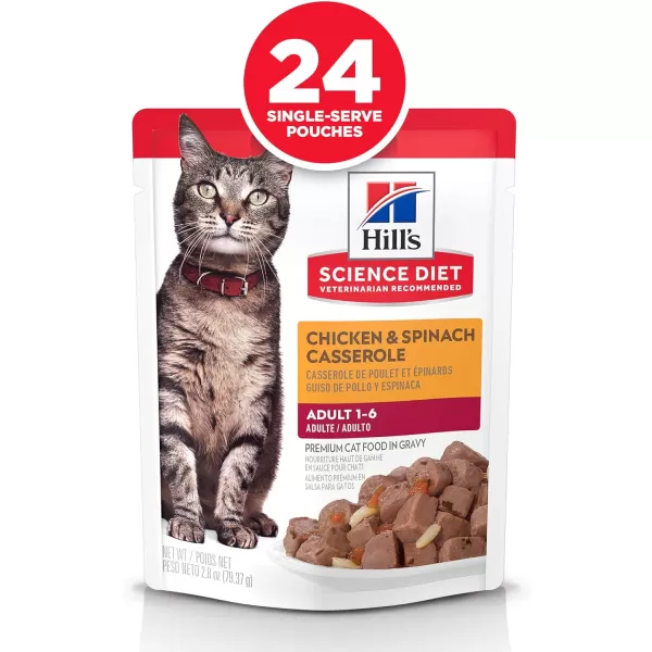 imageHills Science Diet Canned Wet Cat Food Adult Tender Chunks amp Gravy Recipes 55 oz Cans 24PackChicken Spinach 28 Ounce Pack of 24