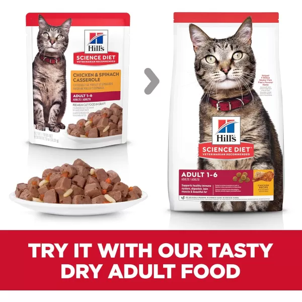 imageHills Science Diet Canned Wet Cat Food Adult Tender Chunks amp Gravy Recipes 55 oz Cans 24PackChicken Spinach 28 Ounce Pack of 24
