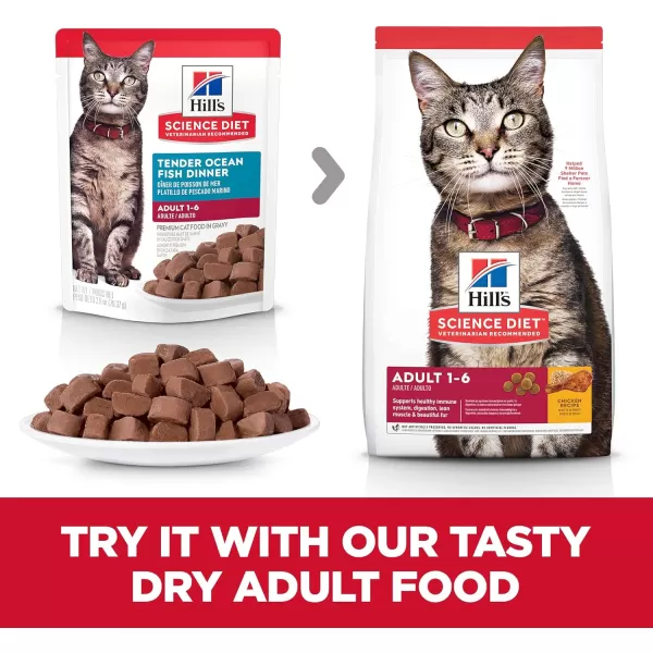 imageHills Science Diet Canned Wet Cat Food Adult Tender Chunks amp Gravy Recipes 55 oz Cans 24PackSeafood 28 Ounce Pack of 24