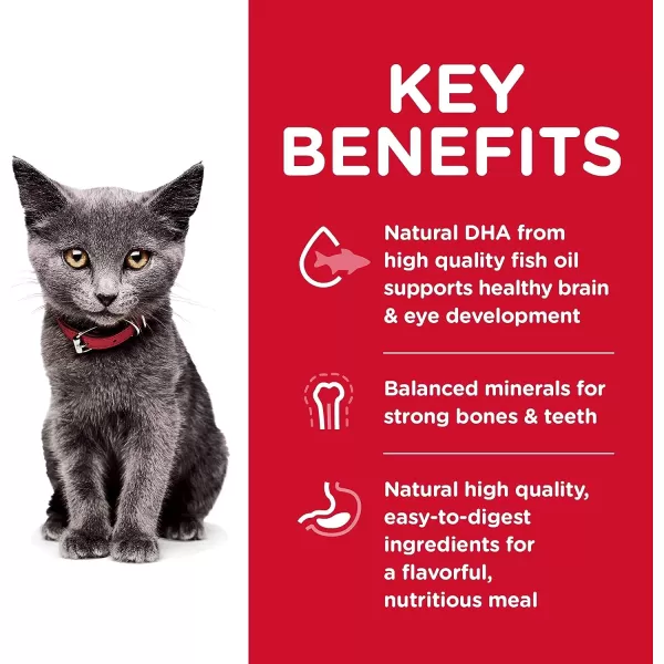 imageHills Science Diet Dry Cat Food Kitten Indoor Chicken Recipe 7 lb Bag35 Pound Pack of 1