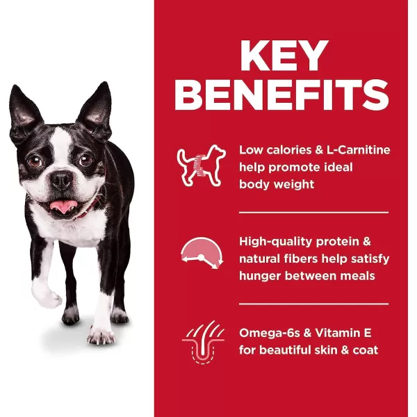 imageHills Science Diet Dry Dog Food Adult Light for Healthy Weight amp Weight Management Small Bites Chicken Meal amp Barley Recipe 5 lb Bag15 Pound Pack of 1