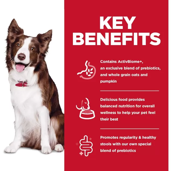 imageHills Science Diet Dry Dog Food Adult Perfect Digestion Chicken Brown Rice amp Whole Oats Recipe 35 lb BagChicken Brown Rice amp Whole Oats 35 Pound Pack of 1
