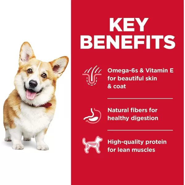 imageHills Science Diet Dry Dog Food Adult Small Bites Chicken amp Barley Recipe 5 lb Bag5 Pound Pack of 1