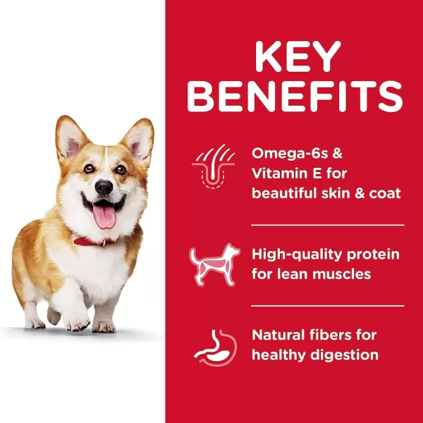 imageHills Science Diet Dry Dog Food Adult Small Bites Lamb Meal amp Brown Rice Recipe 45 lb Bag45 Pound Pack of 1