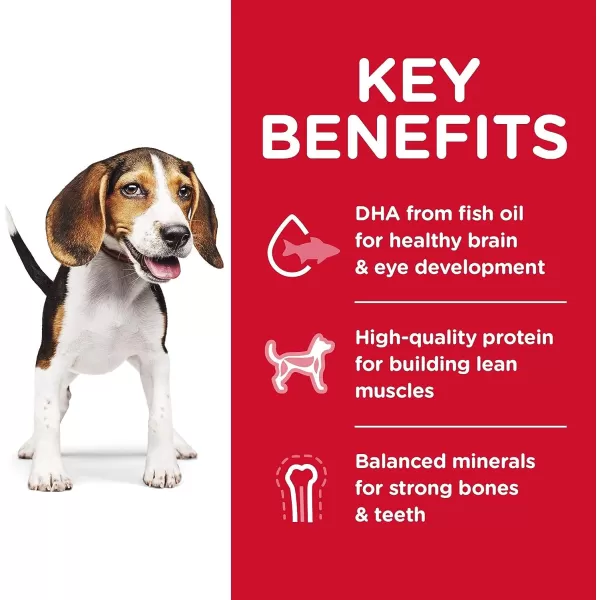 imageHills Science Diet Dry Dog Food Puppy Chicken Meal amp Barley Recipe 30 lb BagHills Science Diet Dry Dog Food Puppy Chicken Meal amp Barley Recipe 30 lb Bag