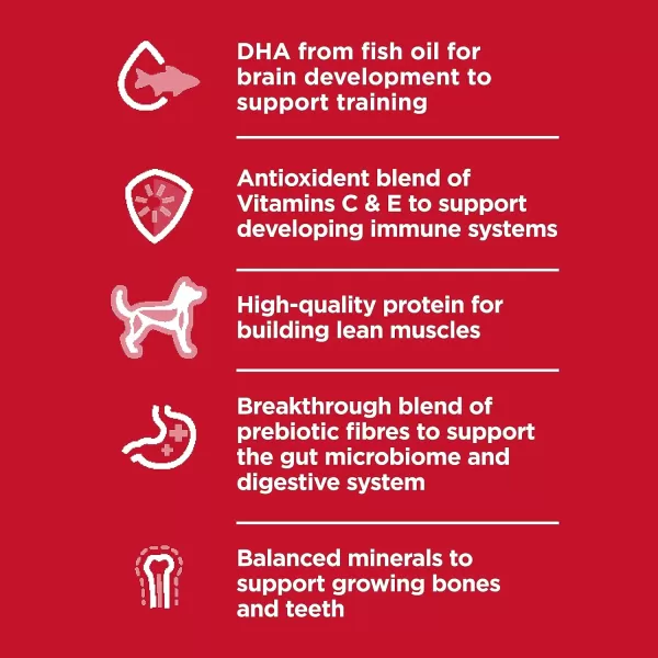 imageHills Science Diet Dry Dog Food Puppy Small Bites Chicken Meal amp Barley Recipe 155 lb BagHills Science Diet Dry Dog Food Puppy Small Bites Chicken Meal amp Barley Recipe 155 lb Bag