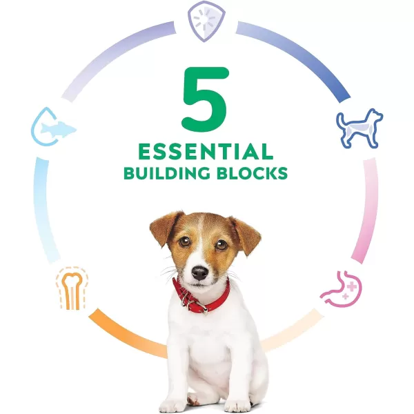 imageHills Science Diet Dry Dog Food Puppy Small Bites Chicken Meal amp Barley Recipe 155 lb BagHills Science Diet Dry Dog Food Puppy Small Bites Chicken Meal amp Barley Recipe 155 lb Bag