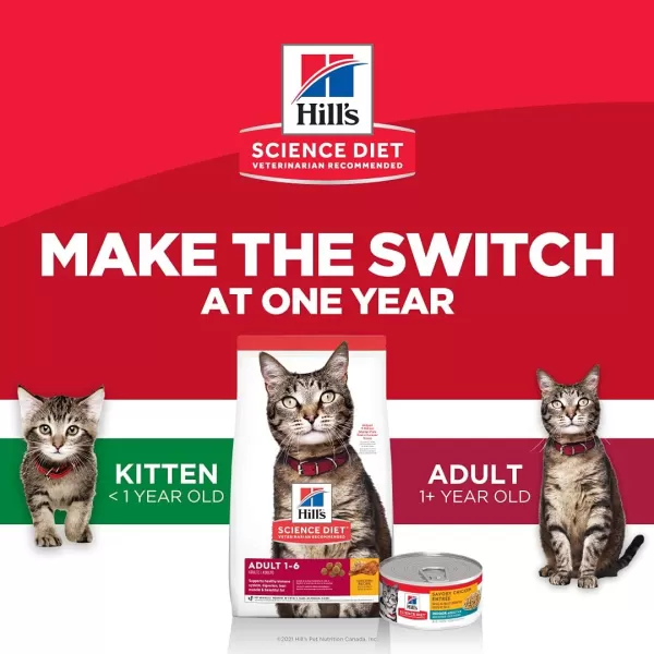 imageHills Science Diet Kitten Wet Cat Food Chicken Recipe 28 Ounce Pack of 24Chicken