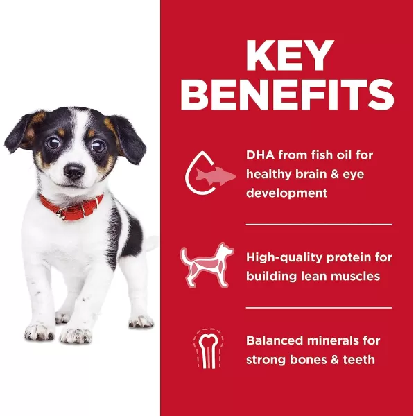 imageHills Science Diet Puppy No Corn Wheat or Soy Dry Dog Food Chicken Recipe 4 lb Bag4 Pound Pack of 1