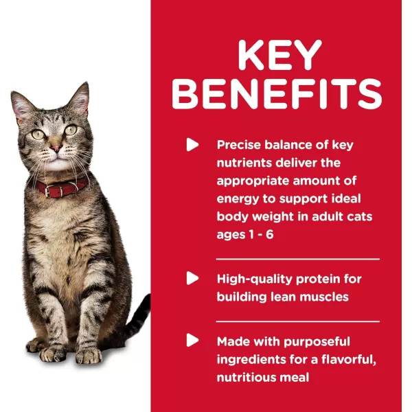 imageHills Science Diet Wet Cat Food Adult Savory Turkey Recipe 55 oz Cans 24PackLiver amp Chicken