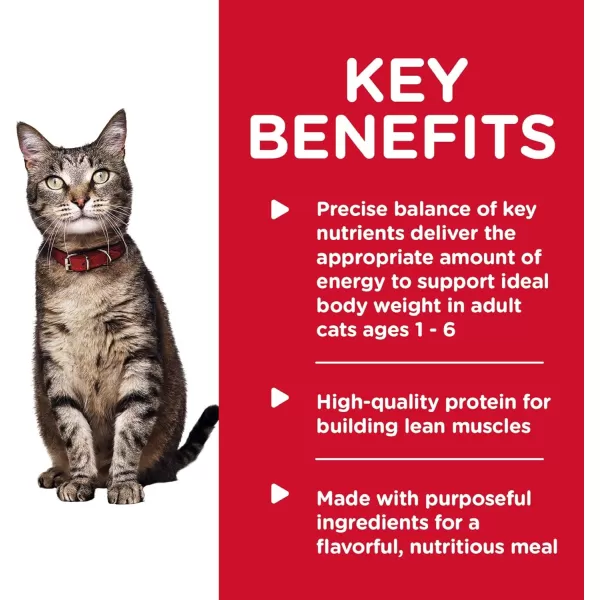 imageHills Science Diet Wet Cat Food Adult Savory Turkey Recipe 55 oz Cans 24PackTurkey Liver