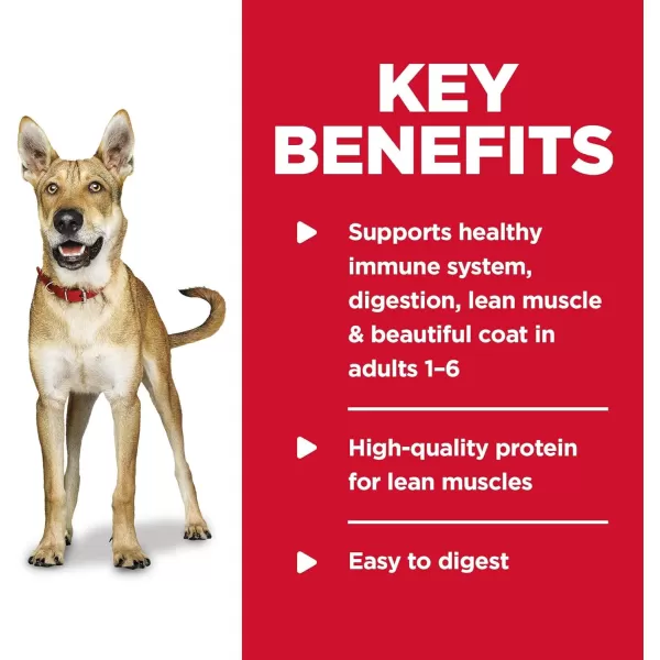 imageHills Science Diet Wet Dog Food Adult 16 Chicken amp Beef Entre 13 oz Cans 12PackHills Science Diet Wet Dog Food Adult 16 Chicken amp Beef Entre 13 oz Cans 12Pack
