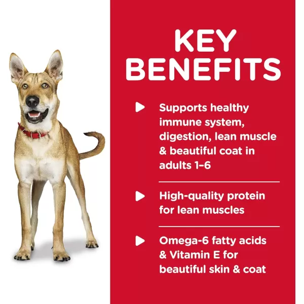 imageHills Science Diet Wet Dog Food Adult 16 Savory Stew with Chicken amp Vegetables 128 oz Cans Pack of 12Beef amp Barley 13 Ounce Pack of 12