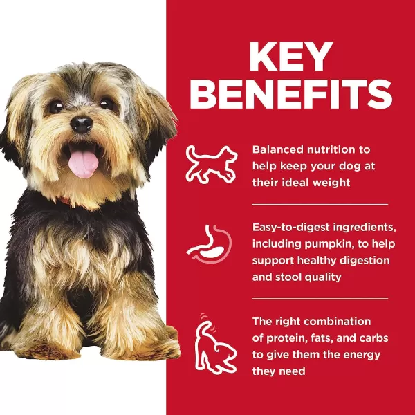 imageHills Science Diet Wet Dog Food Adult Small Paws for Small Breeds Chicken amp Barley Recipe 58 oz Cans 24 PackHills Science Diet Wet Dog Food Adult Small Paws for Small Breeds Chicken amp Barley Recipe 58 oz Cans 24 Pack