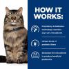 imageHills Prescription Diet Gastrointestinal Biome DigestiveFiber Care Chicken ampamp Vegetable Stew Wet Cat Food Veterinary Diet 29 oz Cans Pack of 24Chicken  Vegetable Stew