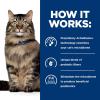 imageHills Prescription Diet Gastrointestinal Biome DigestiveFiber Care with Chicken Dry Cat Food Veterinary Diet 85 lb BagChicken