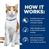 imageHills Prescription Diet ONC Care Dry Cat Food Chicken Veterinary Diet 7 lb BagChicken