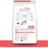 imageHills Prescription Diet ONC Care Dry Cat Food Chicken Veterinary Diet 7 lb BagChicken