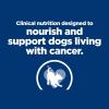 imageHills Prescription Diet ONC Care Wet Dog Food Chicken ampamp Vegetable Stew Veterinary Diet 125 oz Cans 12PackChicken